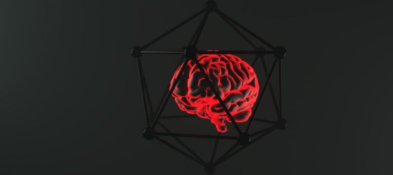 Immagine Meta Pausa il Lancio Internazionale degli Occhiali Display con Neural Band